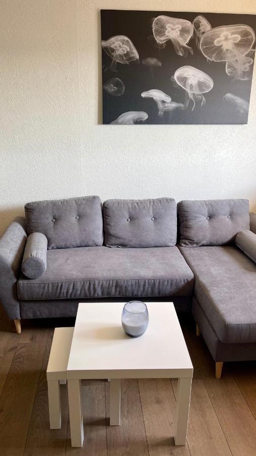 Studio Cocooning Hauteur De Saint-Raphael #2 Eksteriør bilde